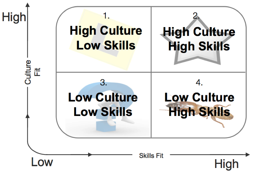 Culture Skills Matrix